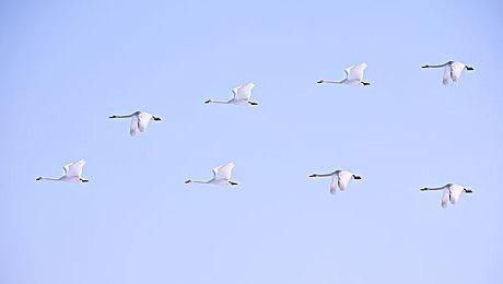 《极限竞速：Motorsport》发布1.0版本更新 改进全平台稳定性